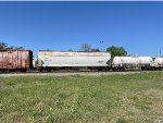 CEFX 389298